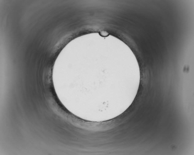 X0000114070023200911161203