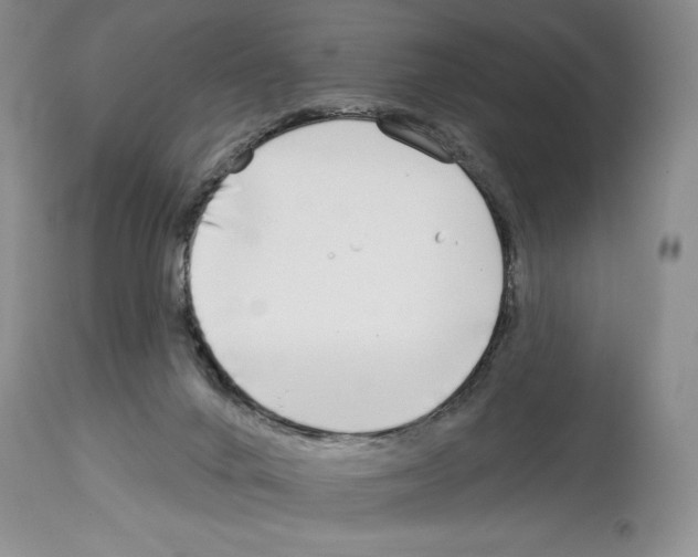 X0000114070024200911161203