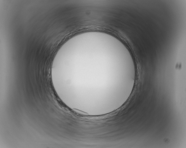 X0000114070025200911161203