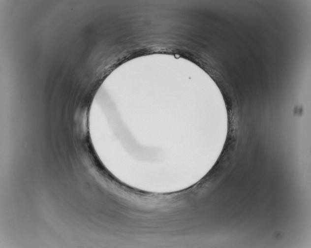 X0000114070028200911161203