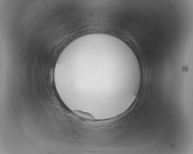 X0000114070029200911161203