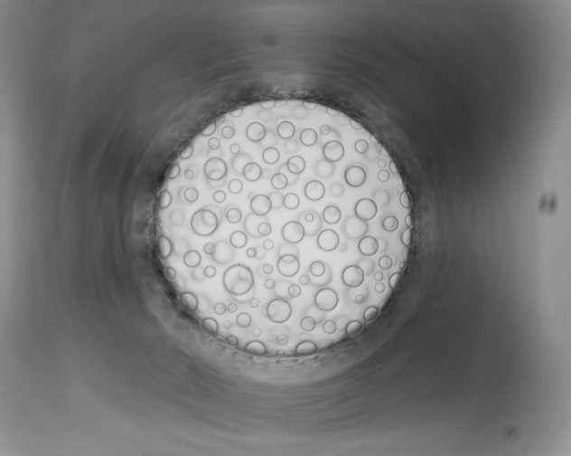 X0000114070030200911161203