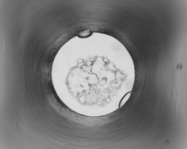 X0000114070031200911161203