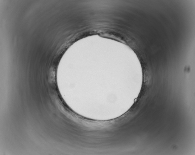 X0000114070036200911161203