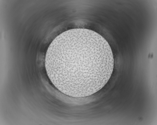 X0000114070038200911161203