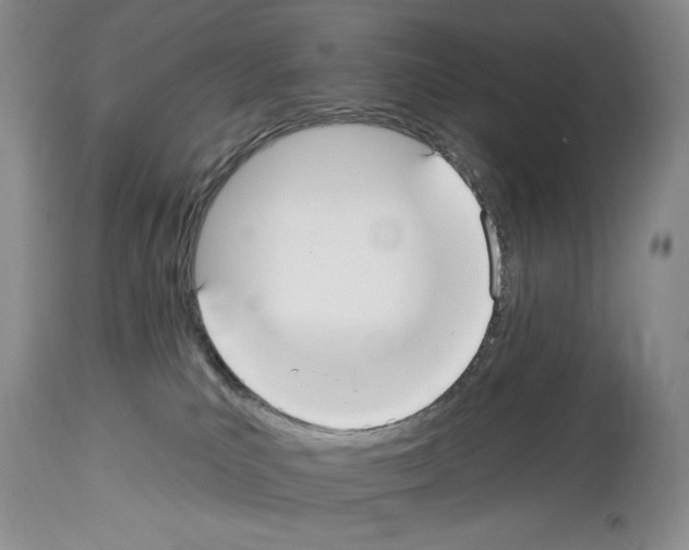 X0000114070039200911161203