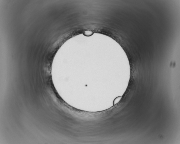 X0000114070040200911161203