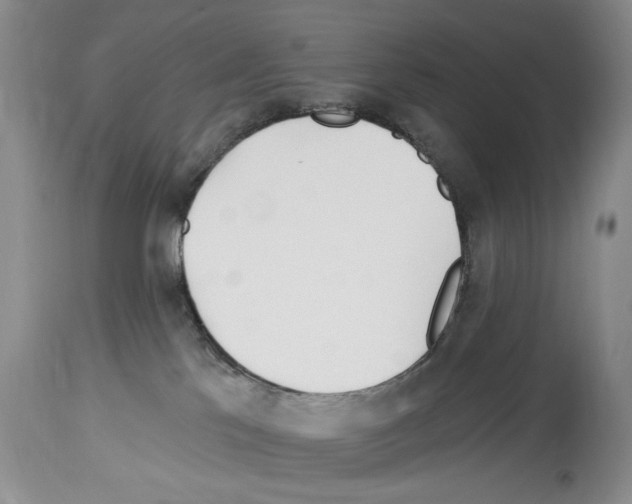 X0000114070041200911161203