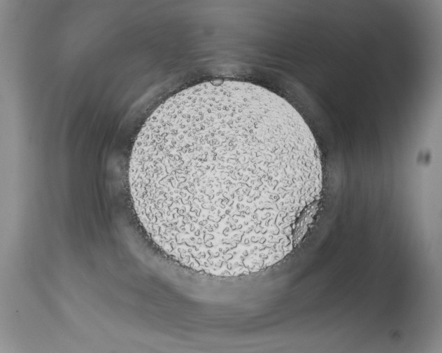 X0000114070043200911161203