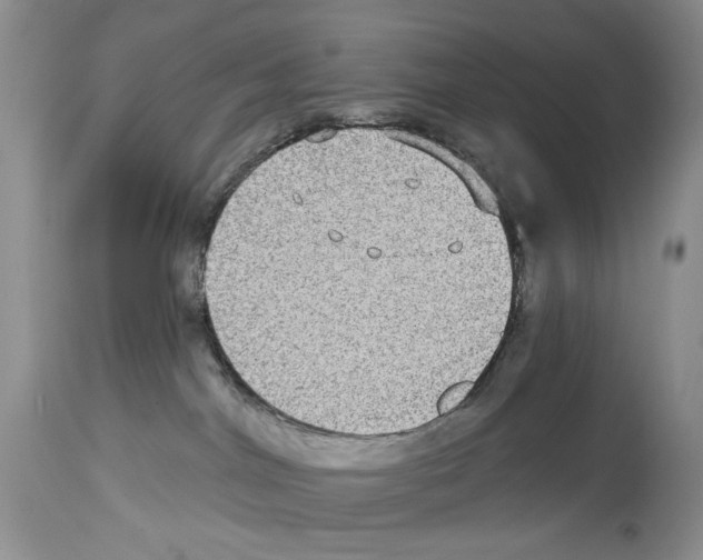 X0000114070044200911161203