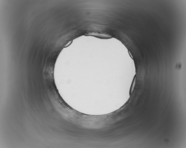 X0000114070045200911161203