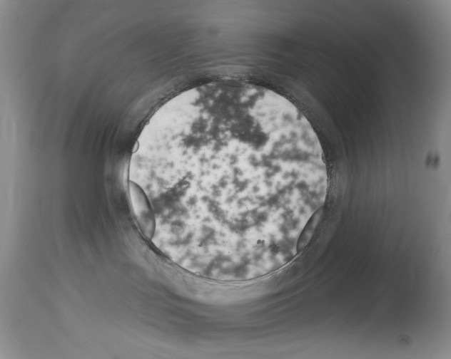 X0000114070047200911161203