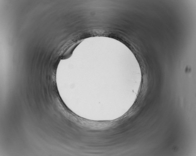 X0000114070048200911161203