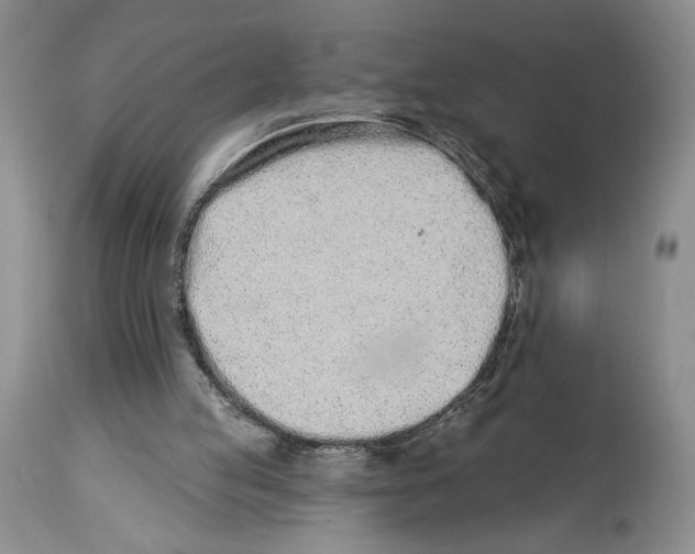 X0000114070053200911161202