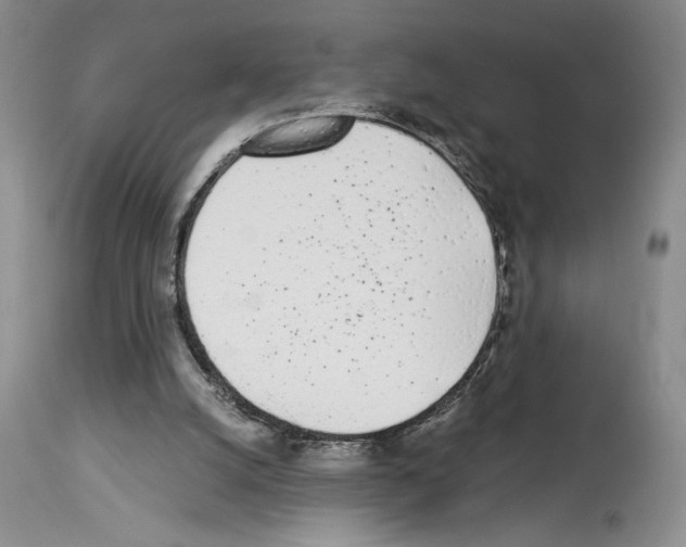 X0000114070056200911161202