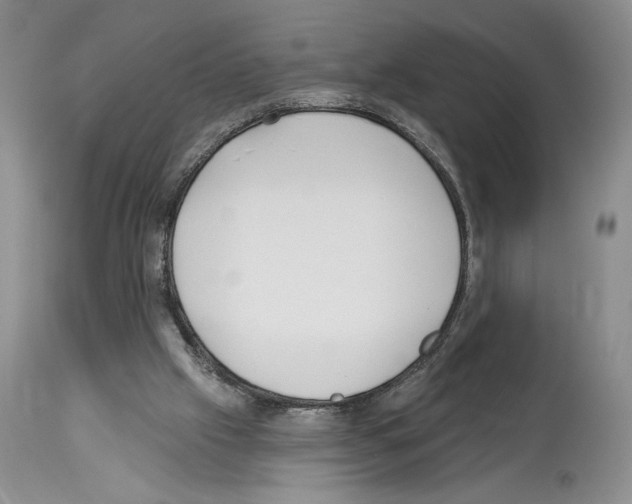 X0000114070057200911161202