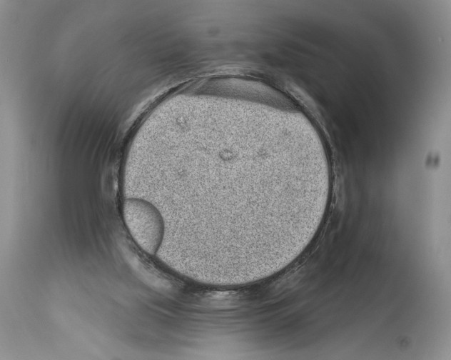 X0000114070059200911161202