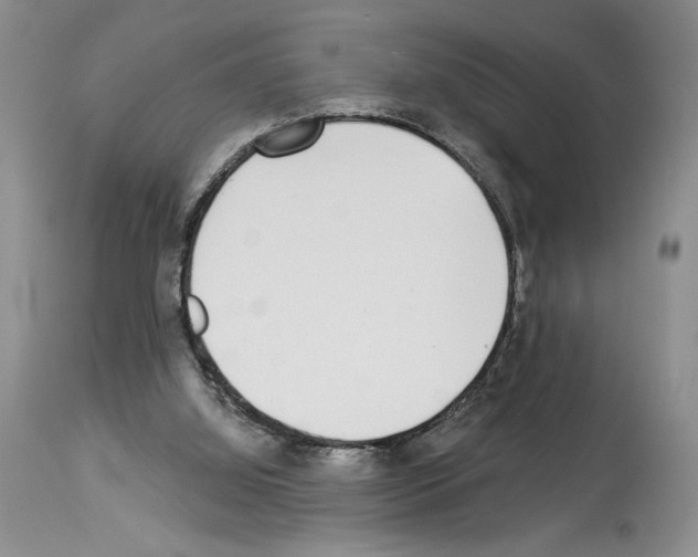 X0000114070060200911161202