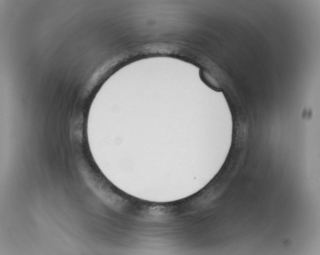 X0000114070064200911161202