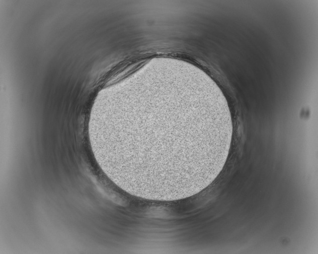 X0000114070066200911161202