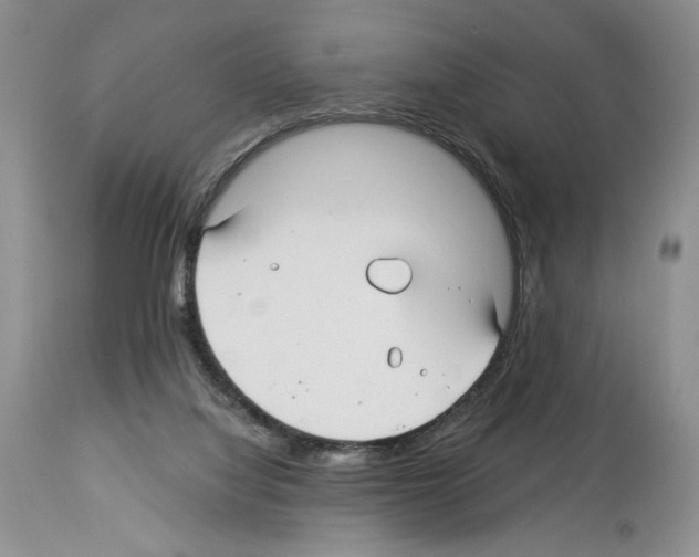 X0000114070068200911161202