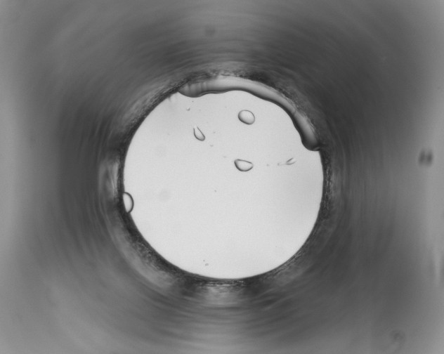 X0000114070070200911161202