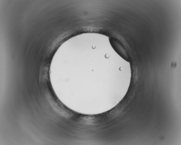 X0000114070071200911161202