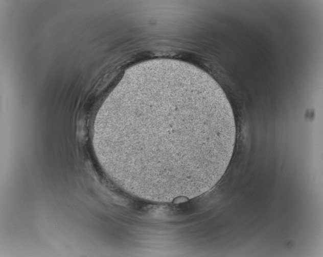 X0000114070074200911161202