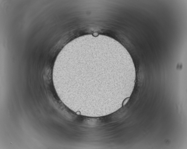 X0000114070079200911161202