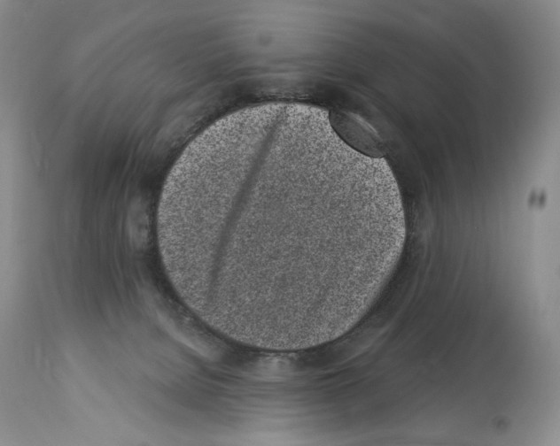 X0000114070080200911161202