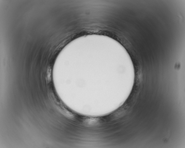 X0000114070081200911161202