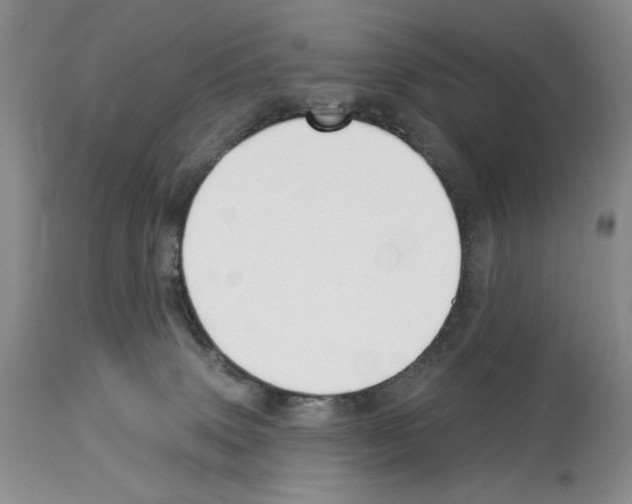 X0000114070083200911161202