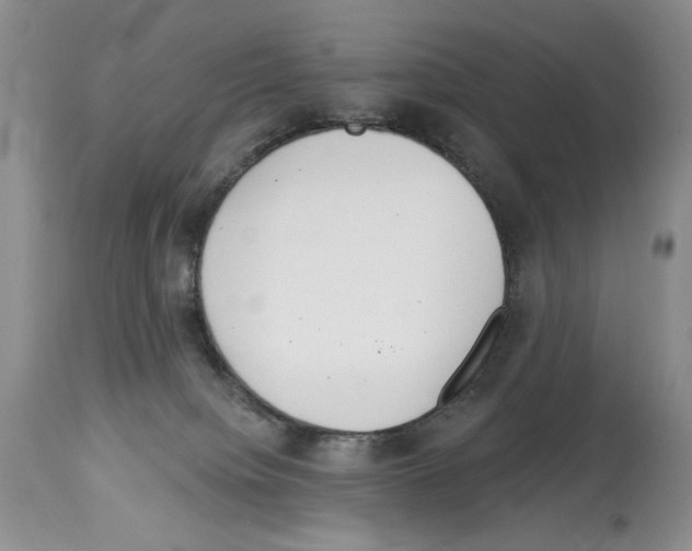 X0000114070084200911161202