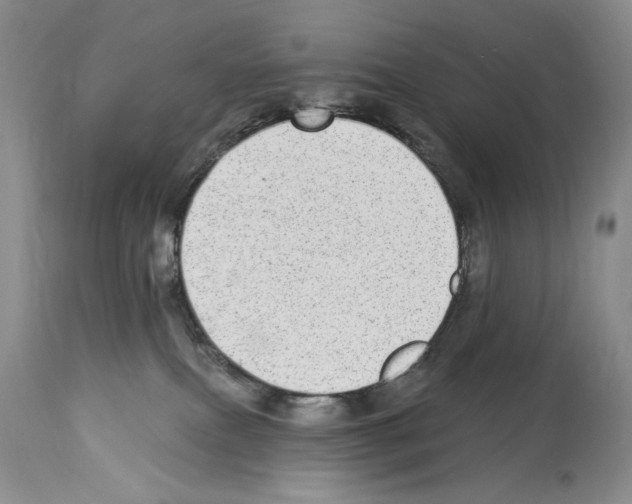 X0000114070087200911161202