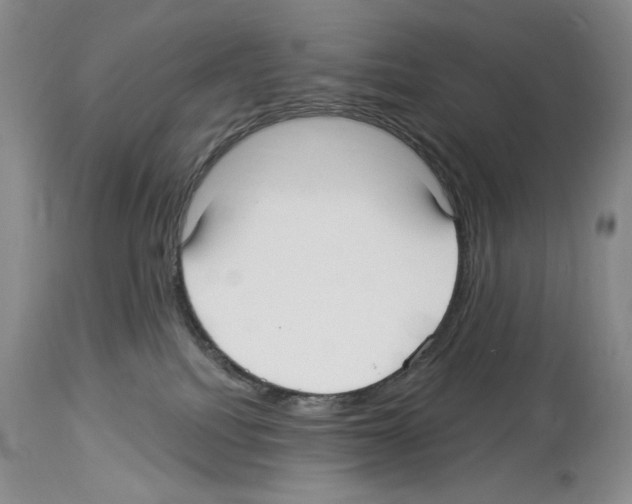 X0000114070088200911161202