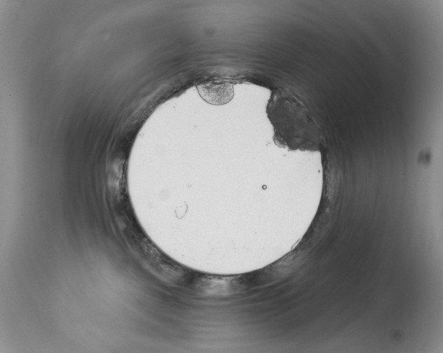 X0000114070093200911161203