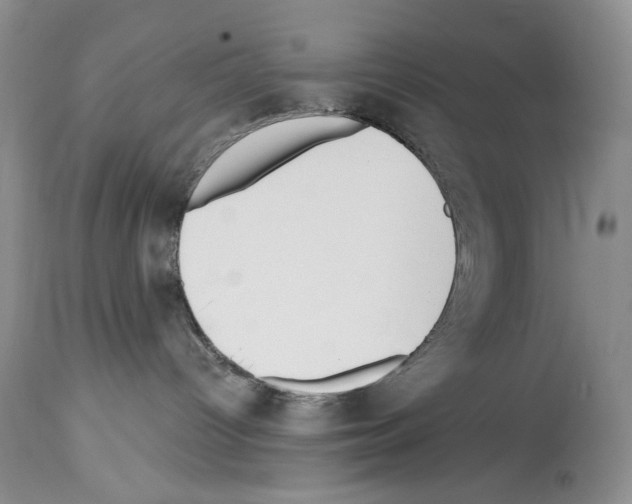 X0000114070096200911161203