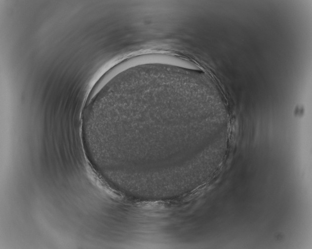 X0000114070100200911161202