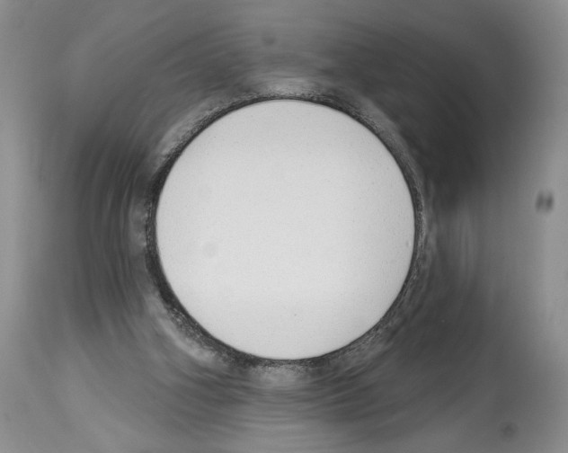 X0000114070106200911161201