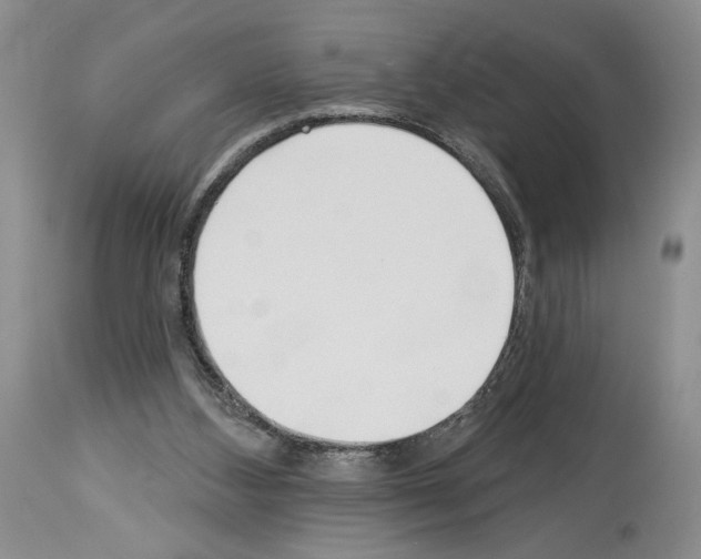 X0000114070108200911161201