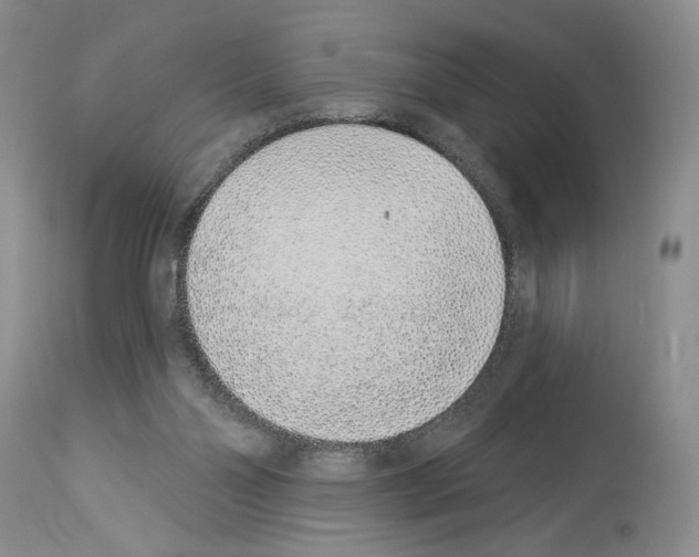 X0000114070110200911161201