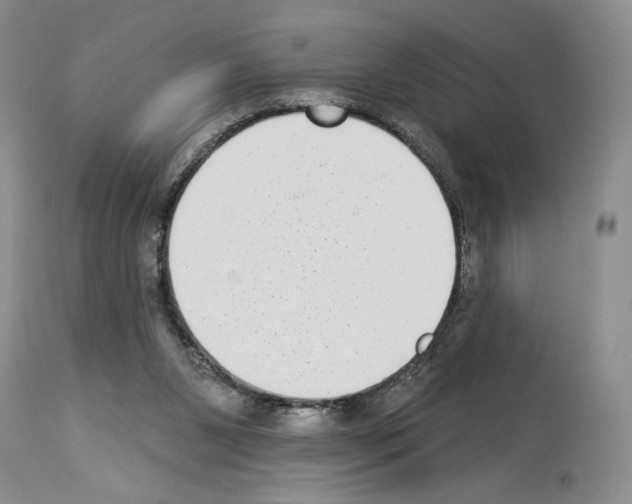 X0000114070111200911161201