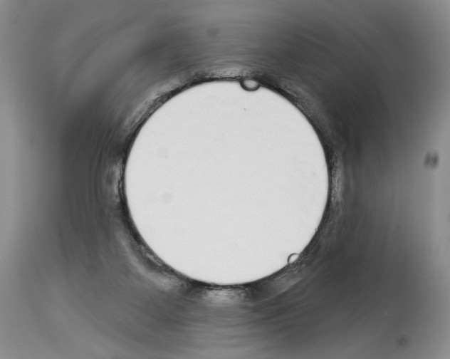 X0000114070115200911161201