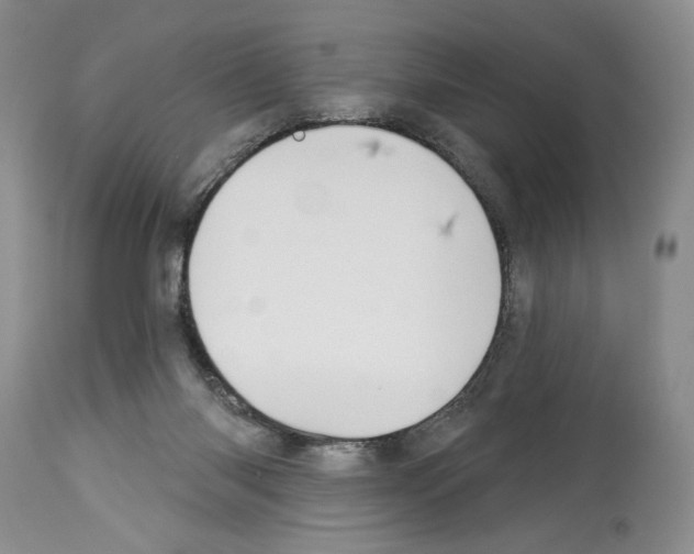 X0000114070118200911161201