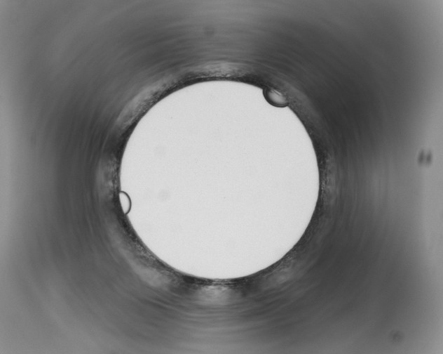 X0000114070119200911161201