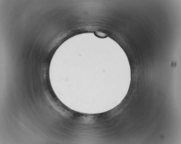 X0000114070120200911161201