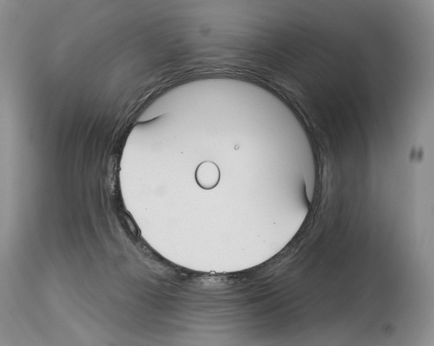 X0000114070121200911161201