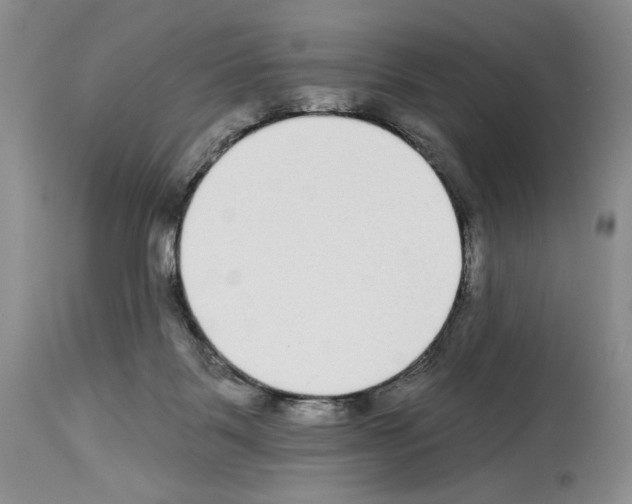 X0000114070123200911161201