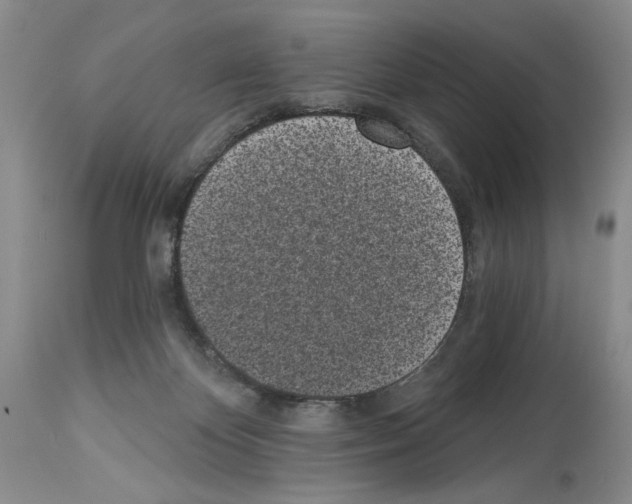 X0000114070124200911161201