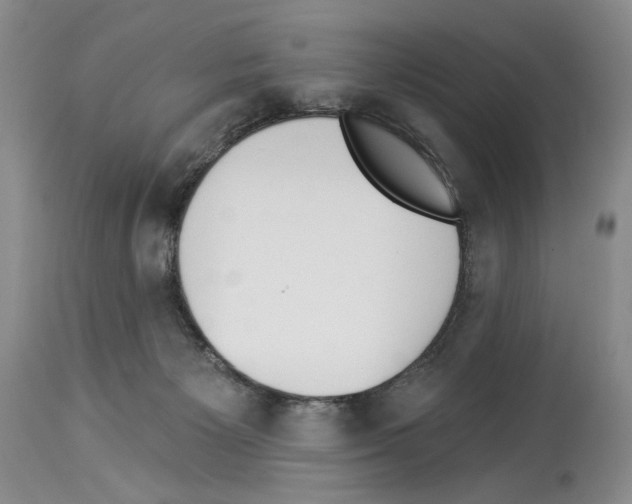 X0000114070125200911161201